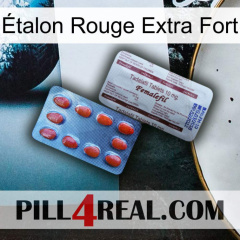 Étalon Rouge Extra Fort 36